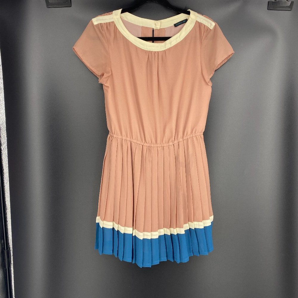 Vintage Accordion Pleated Dress